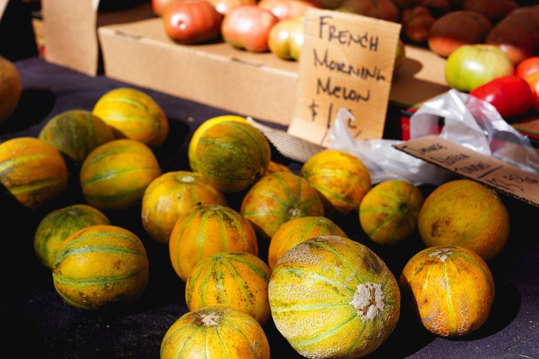 Melons, vins et spécialités audoises : comprendre la table locale