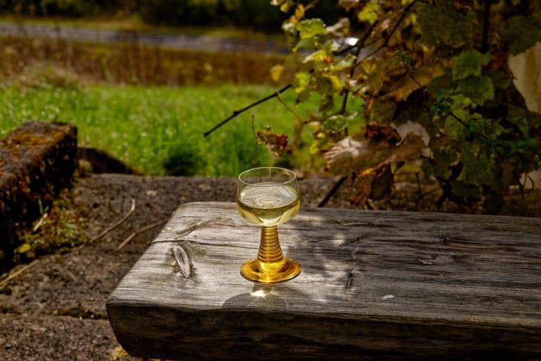 Dégustation et visites de domaines viticoles dans l’Aude